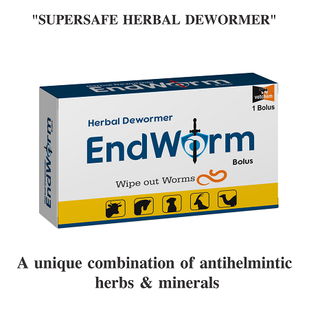 ENDWORM