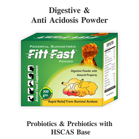 FITT FAST POWDER