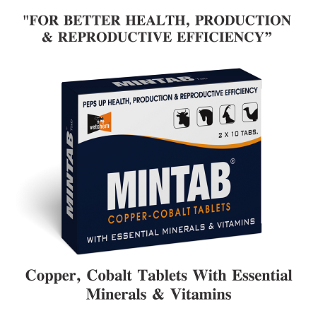 MINTAB TABLETS