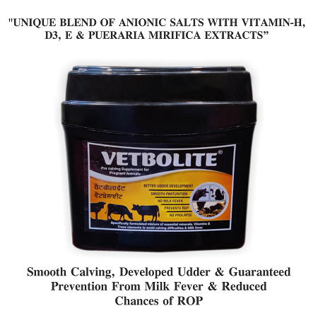 VETBOLITE